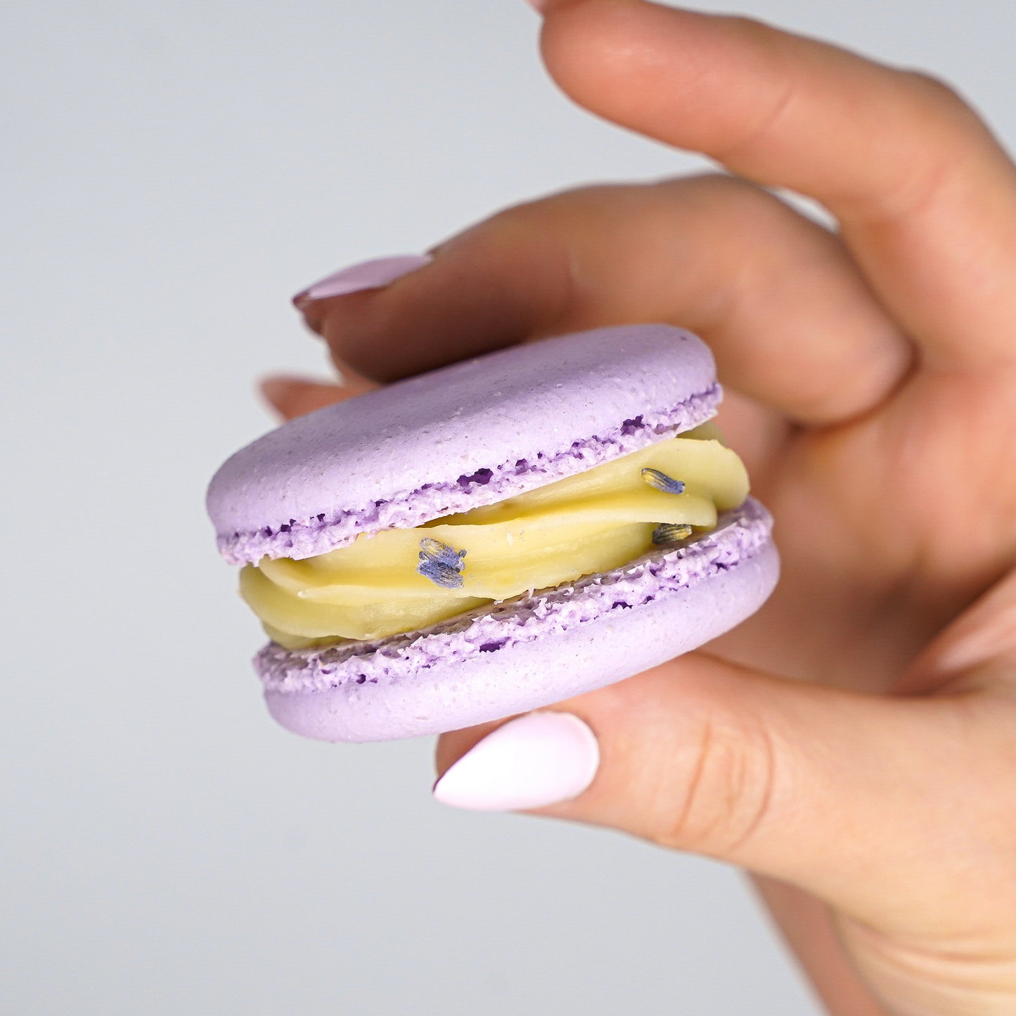 Lavender Blueberry