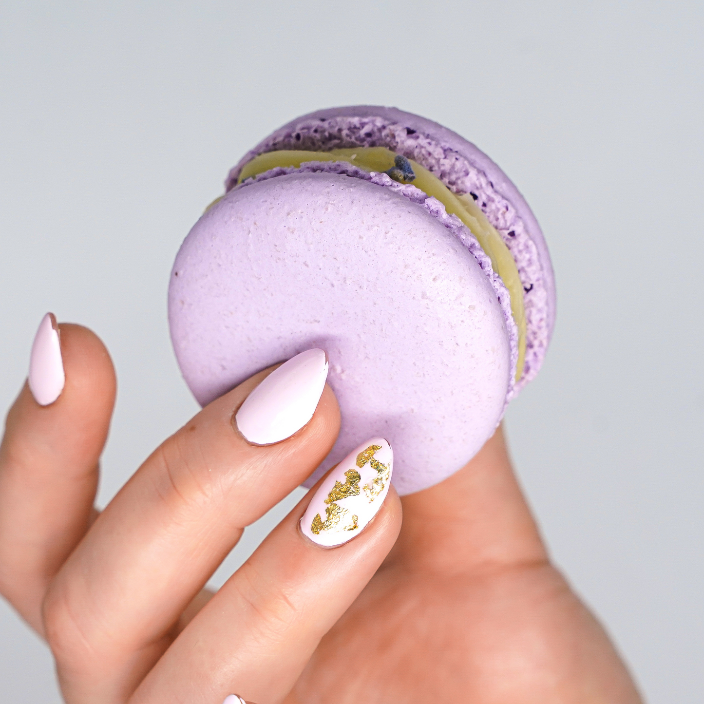 Lavender Blueberry