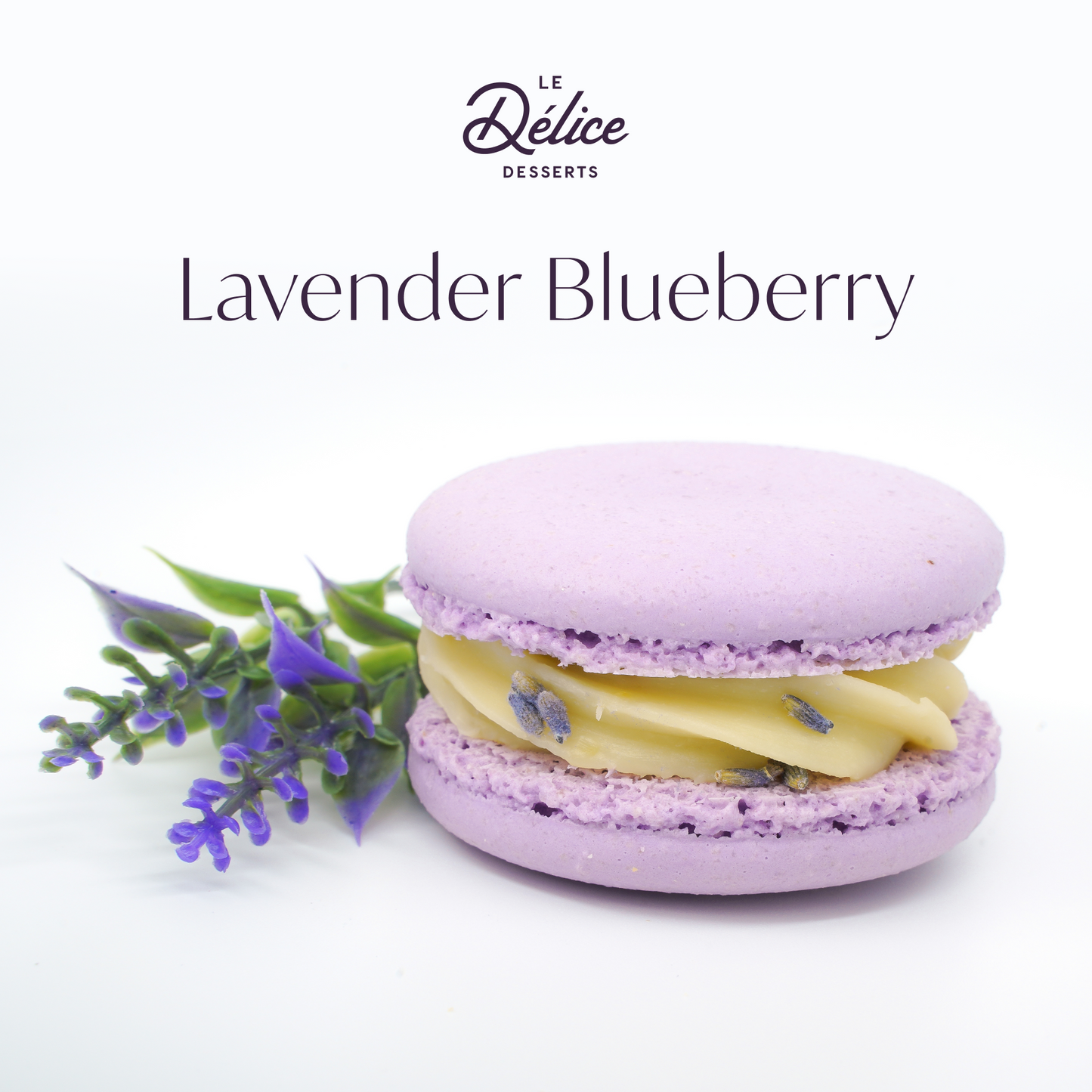 Lavender Blueberry