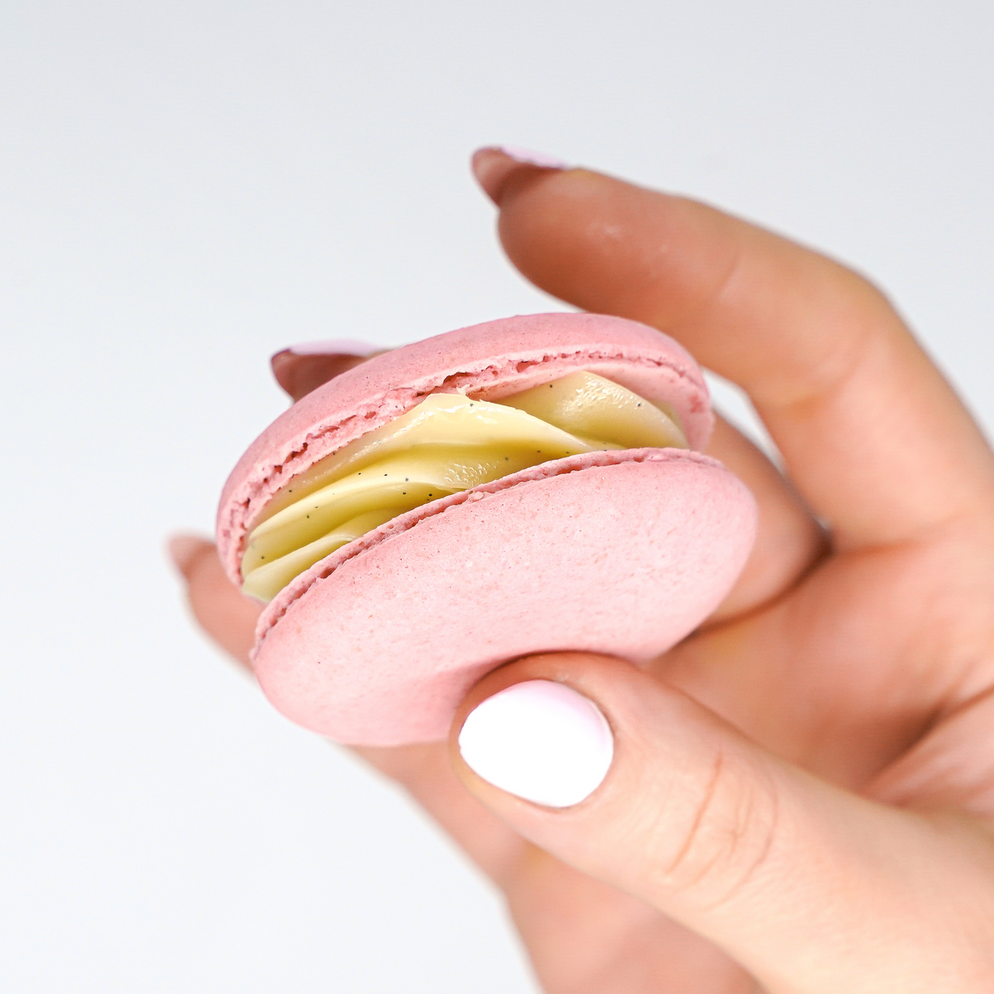 Vanilla Raspberry