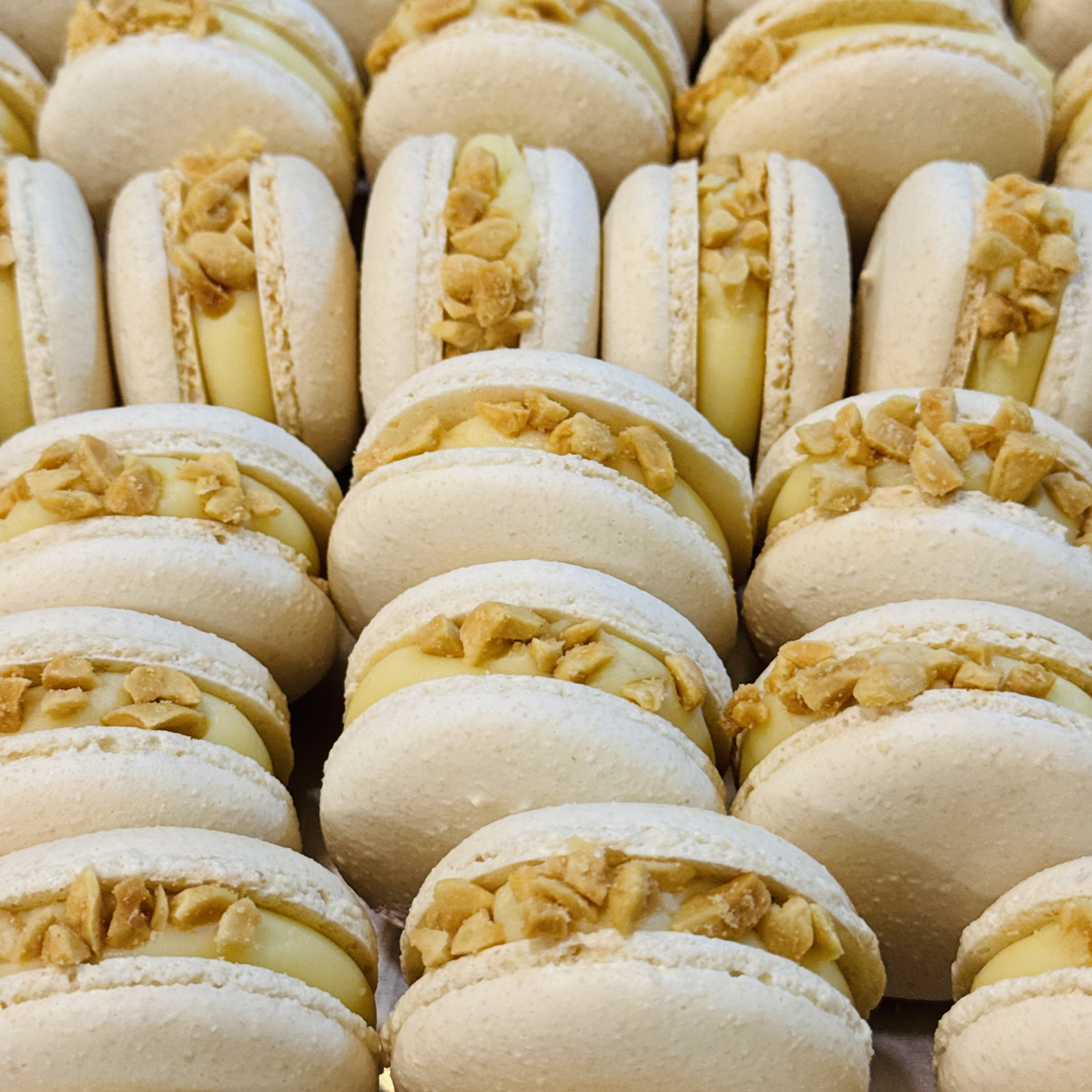 Peanut Caramel White Chocolate